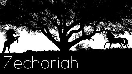 Zechariah Main Study Header 2--Small